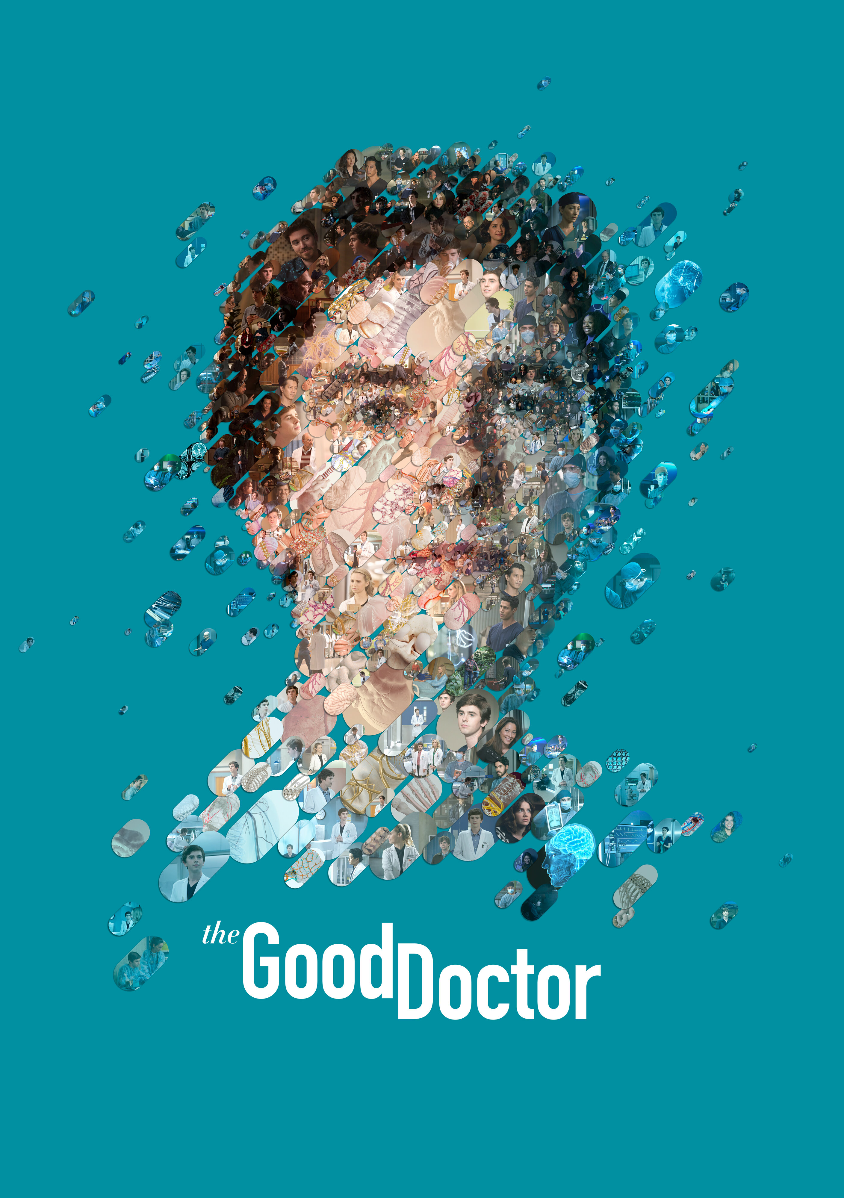 The Good Doctor 海报
